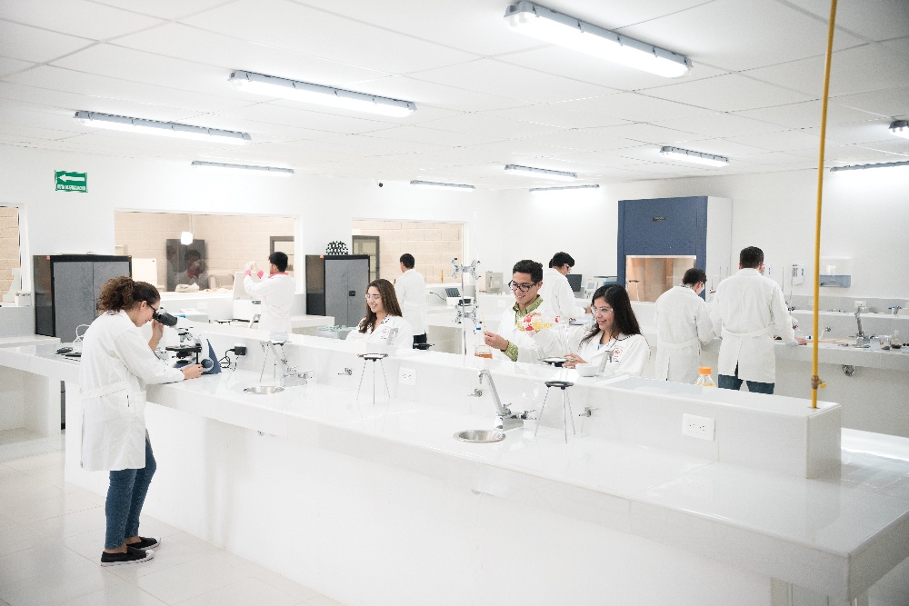 ingeneria quimica laboratorio