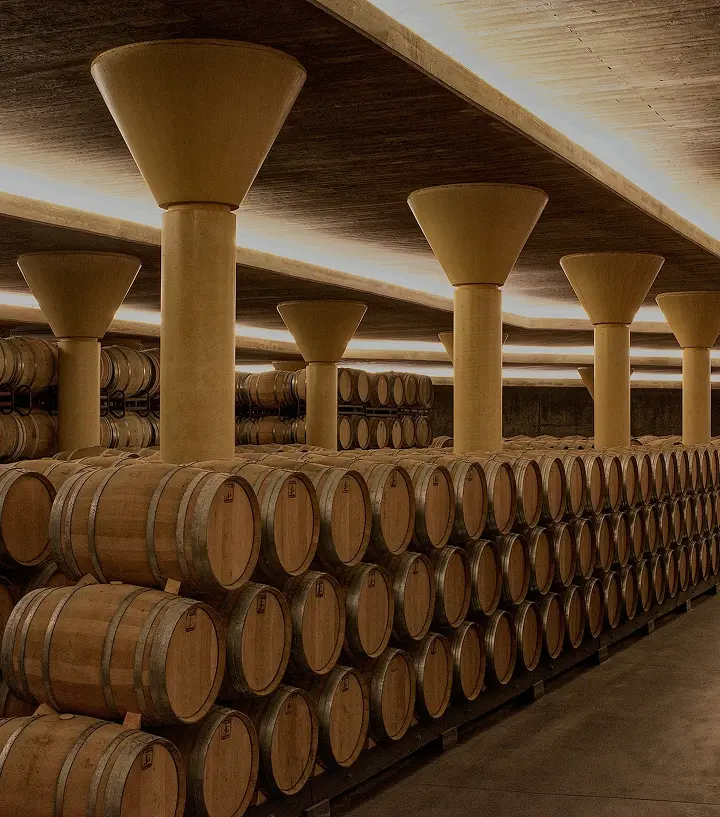 Barricas de vino.