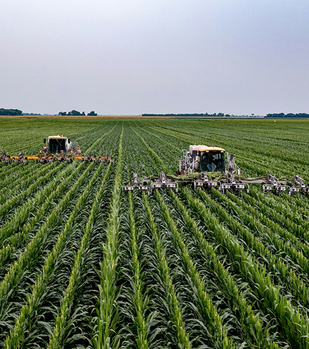 Ingenieros agrónomos en campo.