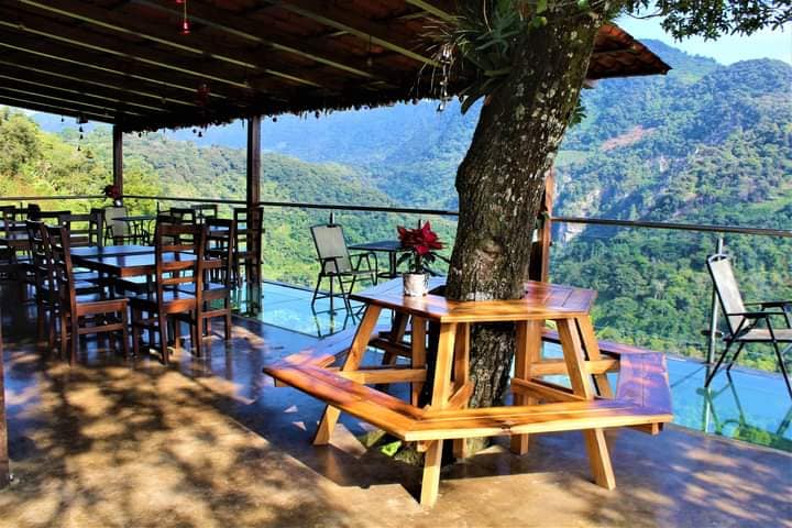 mirador del cafe